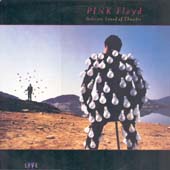 Pink Floyd / Delicate Sound Of Thunder - Live  2LP
