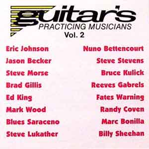 Guitar's Practicing Musicians Vol.2