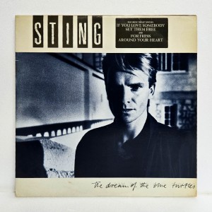 Sting(스팅) / The Dream Of The Blue Turtles