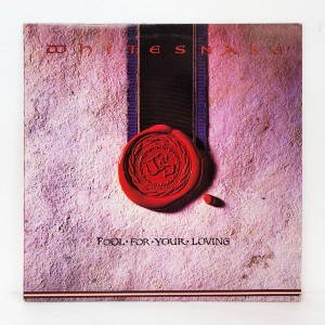 White snake(화이트 스네이크) / Fool For Your Loving