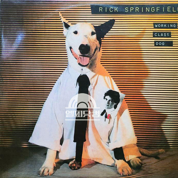 Rick Springfield / Working Class Dog