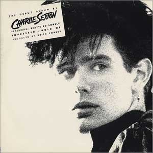 Charlie Sexton/Pictures For Pleasure
