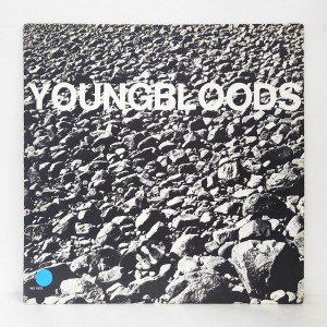 *USA 수입반* The Youngbloods(영블러즈) / Rock Festival