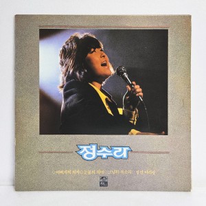 정수라 - 아버지의 의자, 눈물의 의미